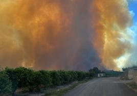 Declarado un incendio forestal en el Parque Natural del Túria