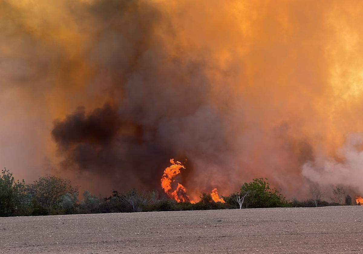 Un incendio en el parque natural del Turia obliga a desalojar a 50 menores en Benaguasil