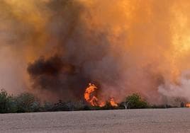 Imagen aérea de incendio forestal de Vilamarxant.