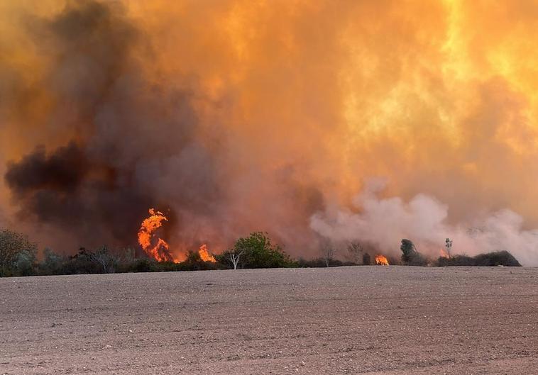 Imagen aérea de incendio forestal de Vilamarxant.