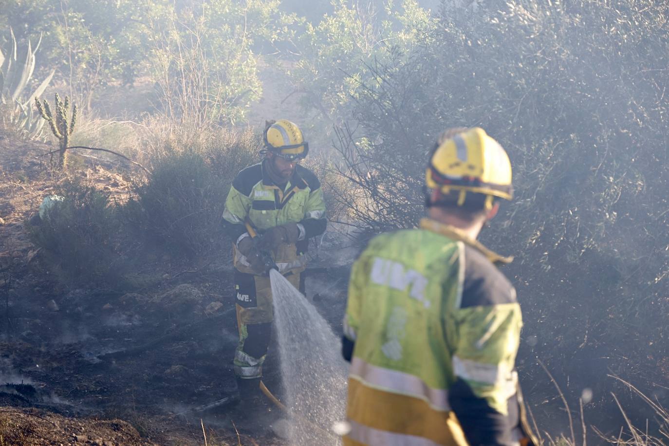 Declarado un incendio forestal en el Parque Natural del Túria