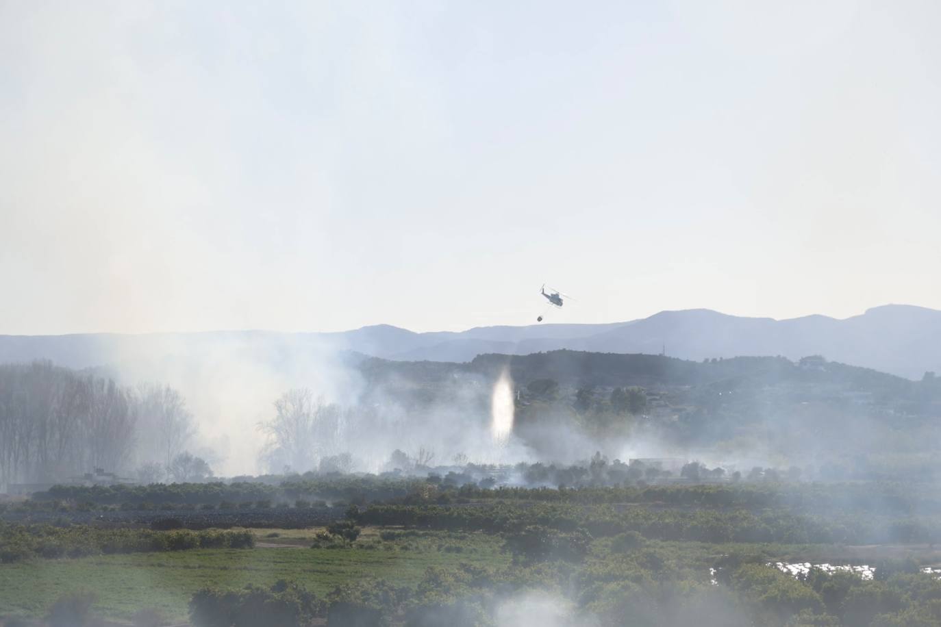 Declarado un incendio forestal en el Parque Natural del Túria