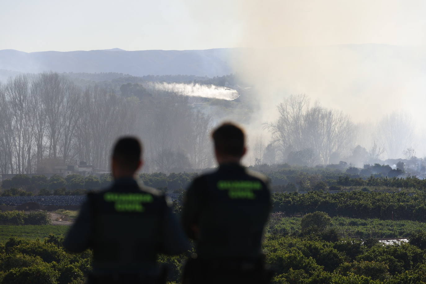 Declarado un incendio forestal en el Parque Natural del Túria