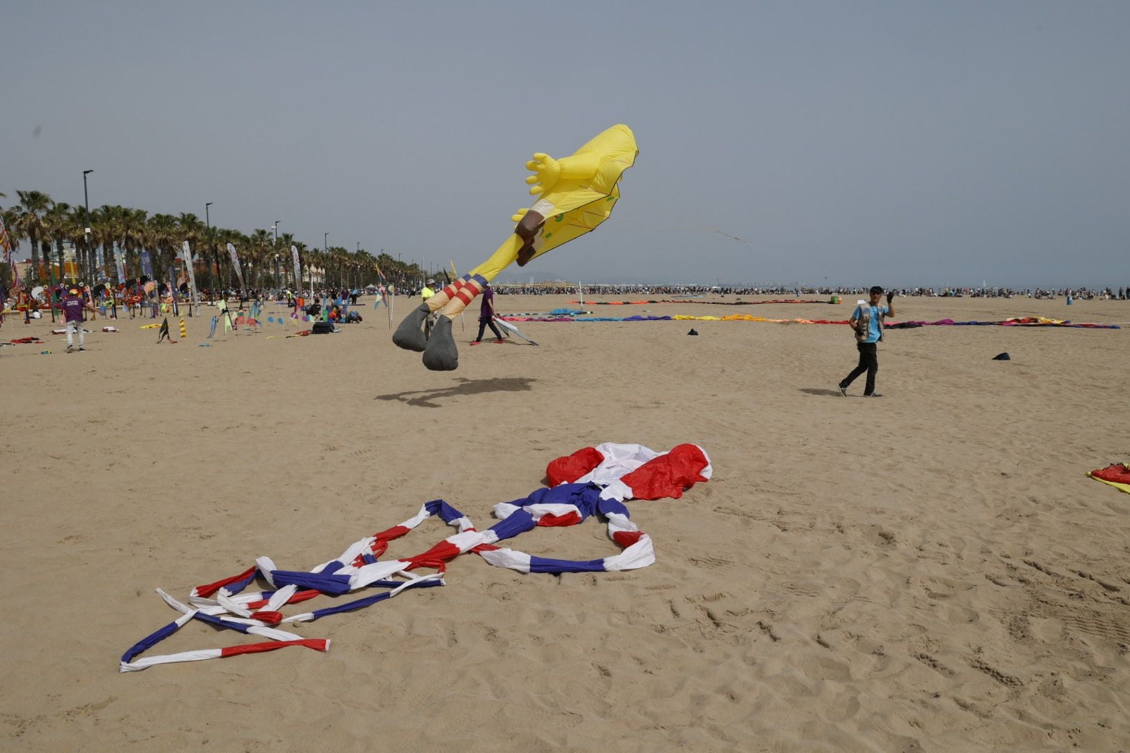 Fotos del festival de cometas en Valencia 2024