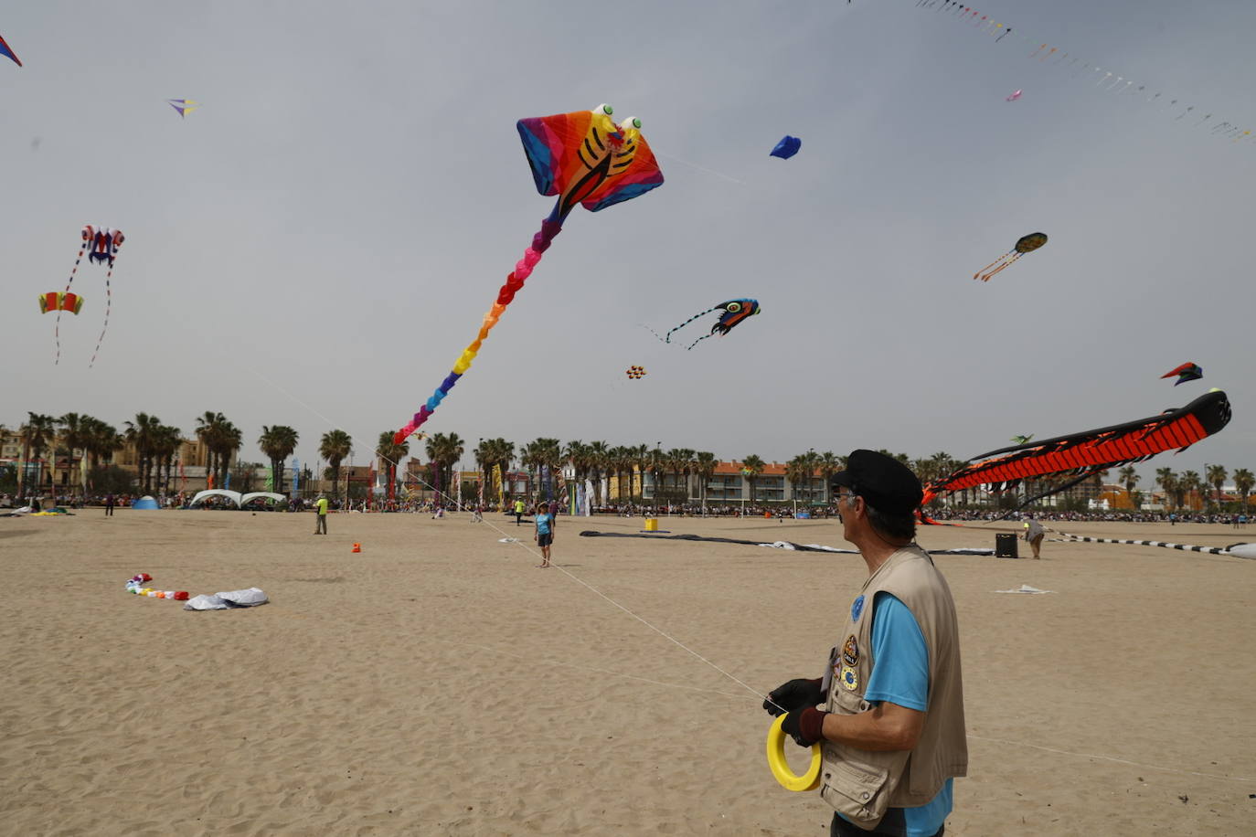 Fotos del festival de cometas en Valencia 2024