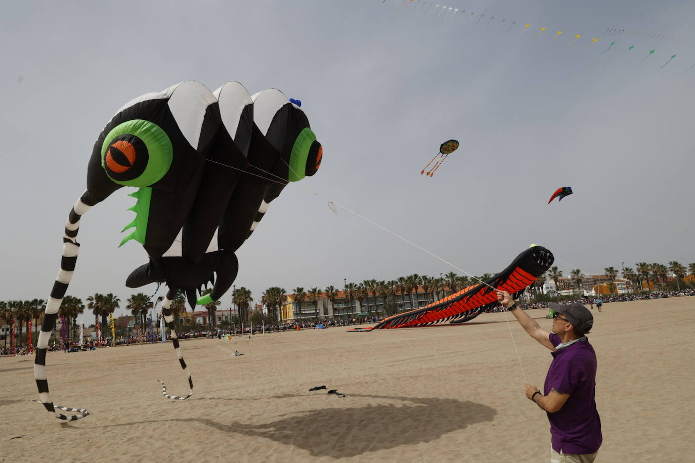 Fotos del festival de cometas en Valencia 2024