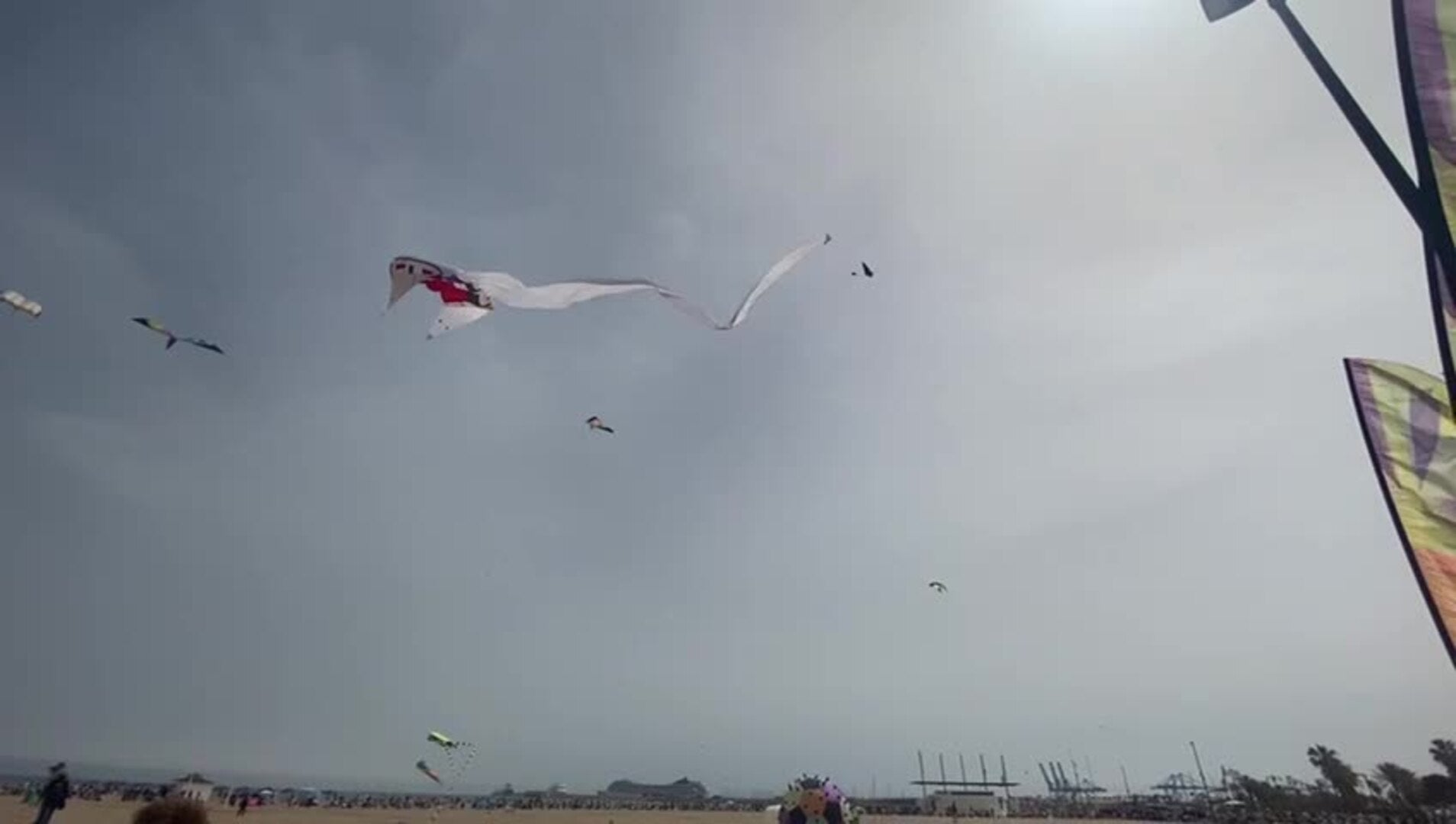 video-cometas-valencia