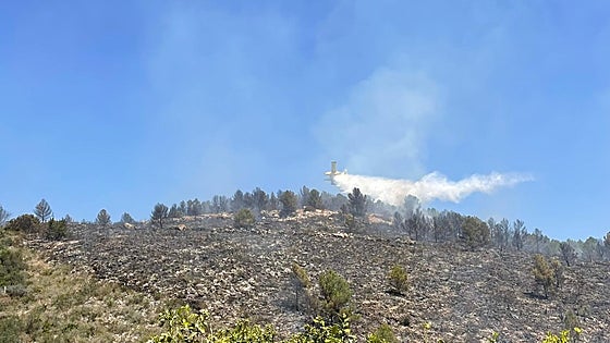 Dos incendios calcinan parajes en Barx y Benifairó