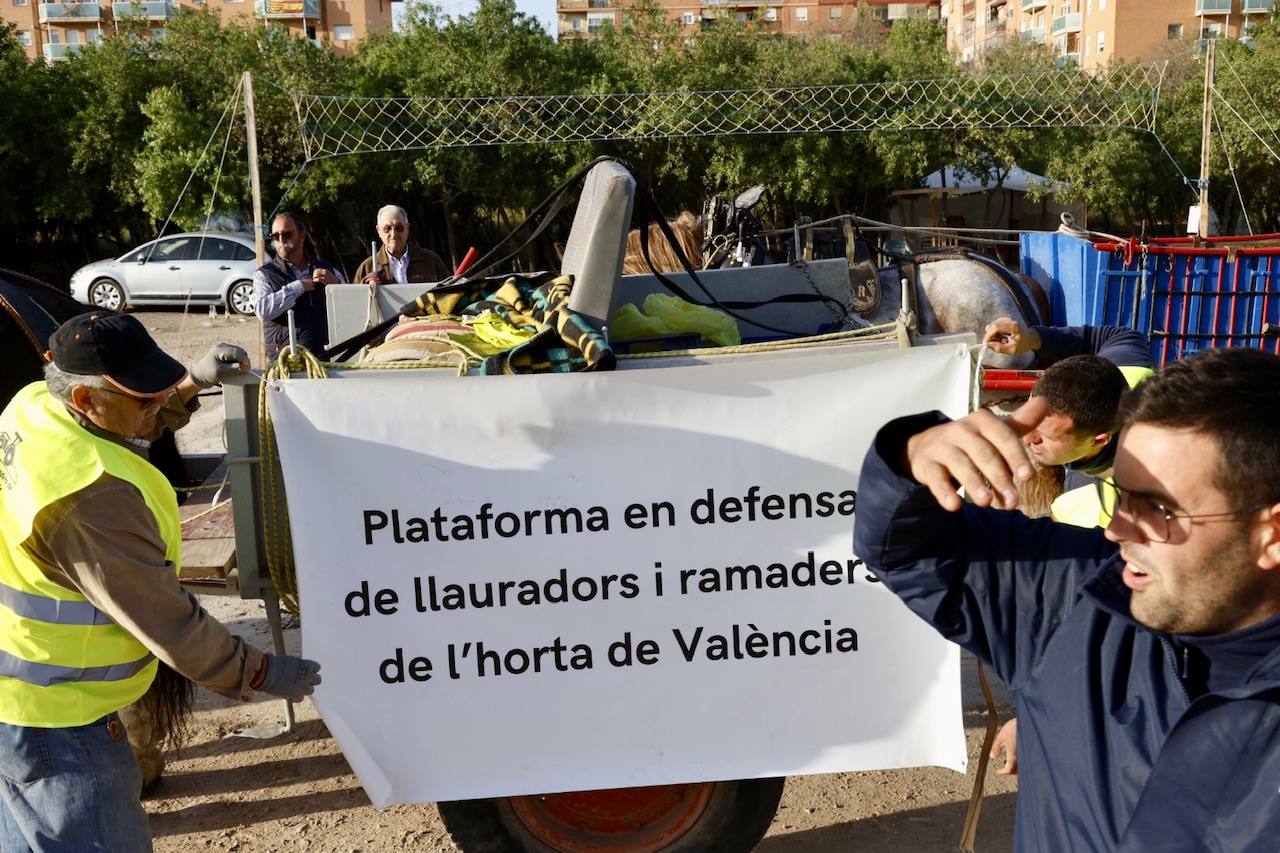 Agricultores y ganaderos marchan por las calles de Valencia con caballos y carros, en imágenes