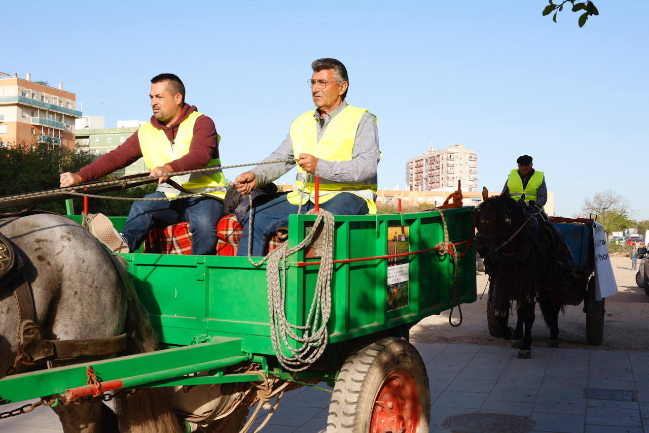 Agricultores y ganaderos marchan por las calles de Valencia con caballos y carros, en imágenes