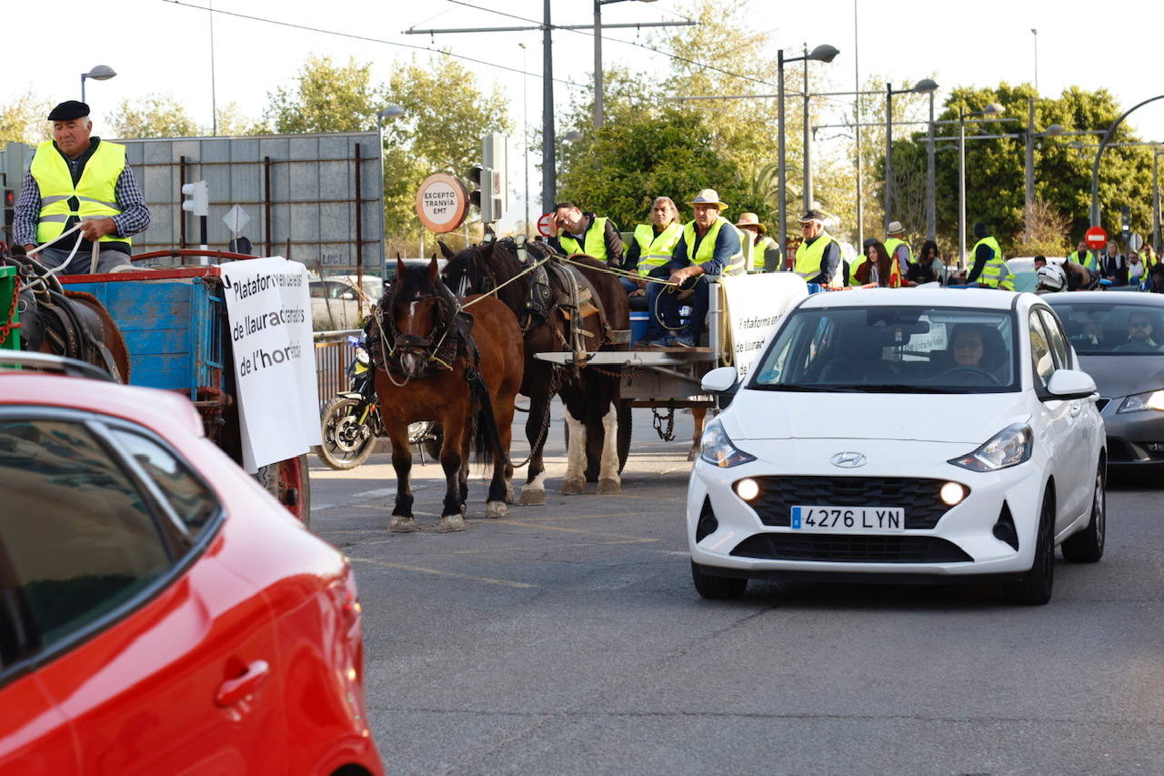 Agricultores y ganaderos marchan por las calles de Valencia con caballos y carros, en imágenes