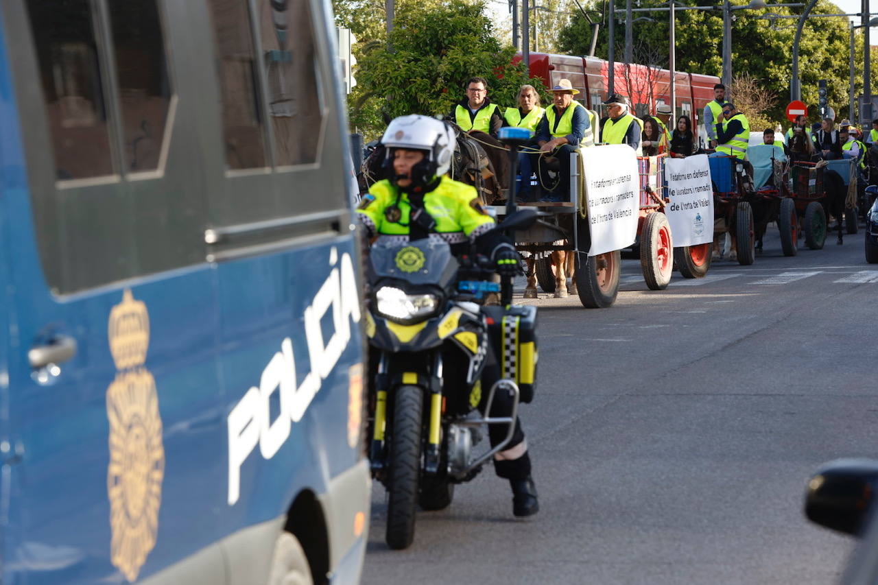 Agricultores y ganaderos marchan por las calles de Valencia con caballos y carros, en imágenes