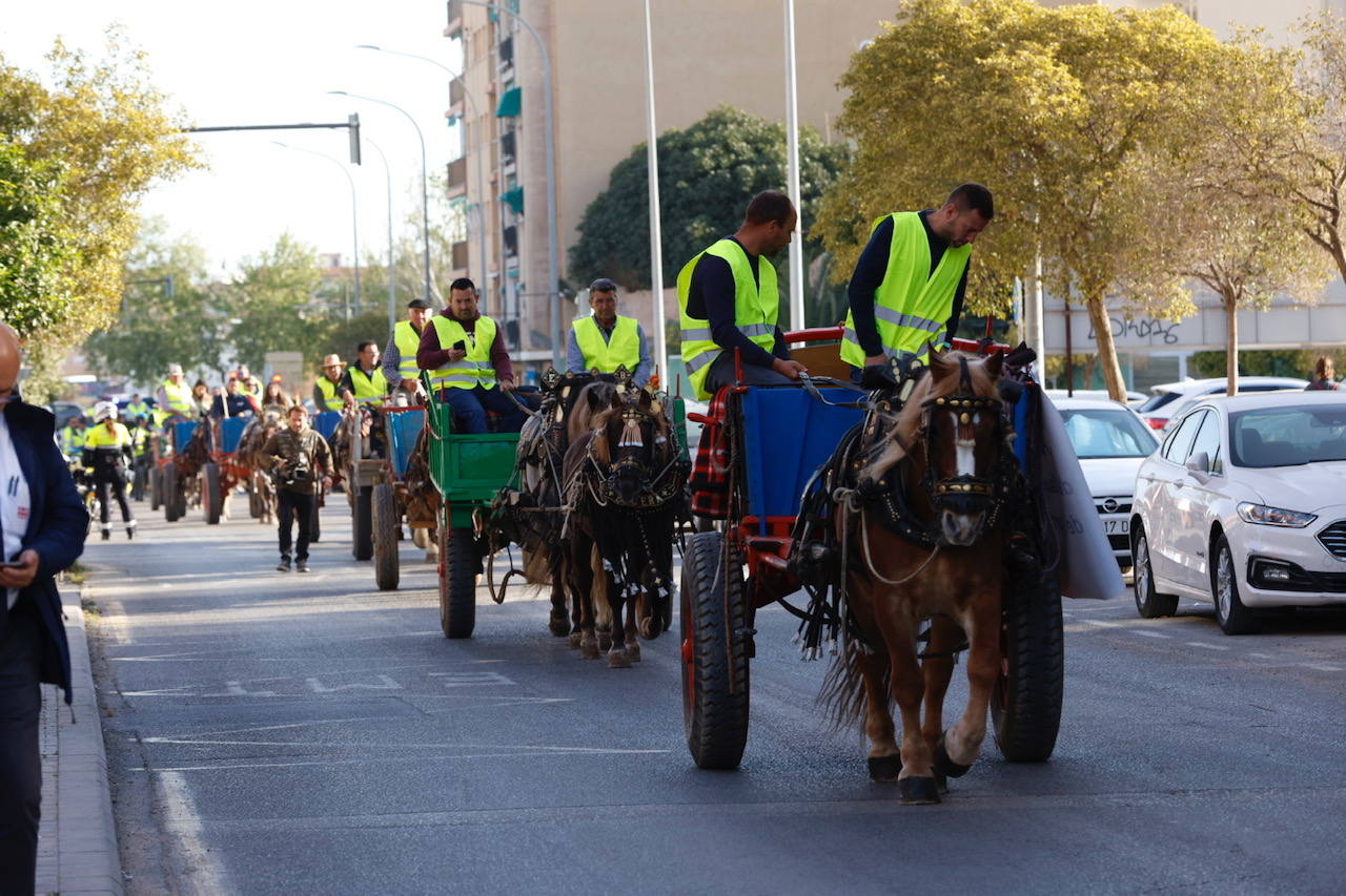 Agricultores y ganaderos marchan por las calles de Valencia con caballos y carros, en imágenes