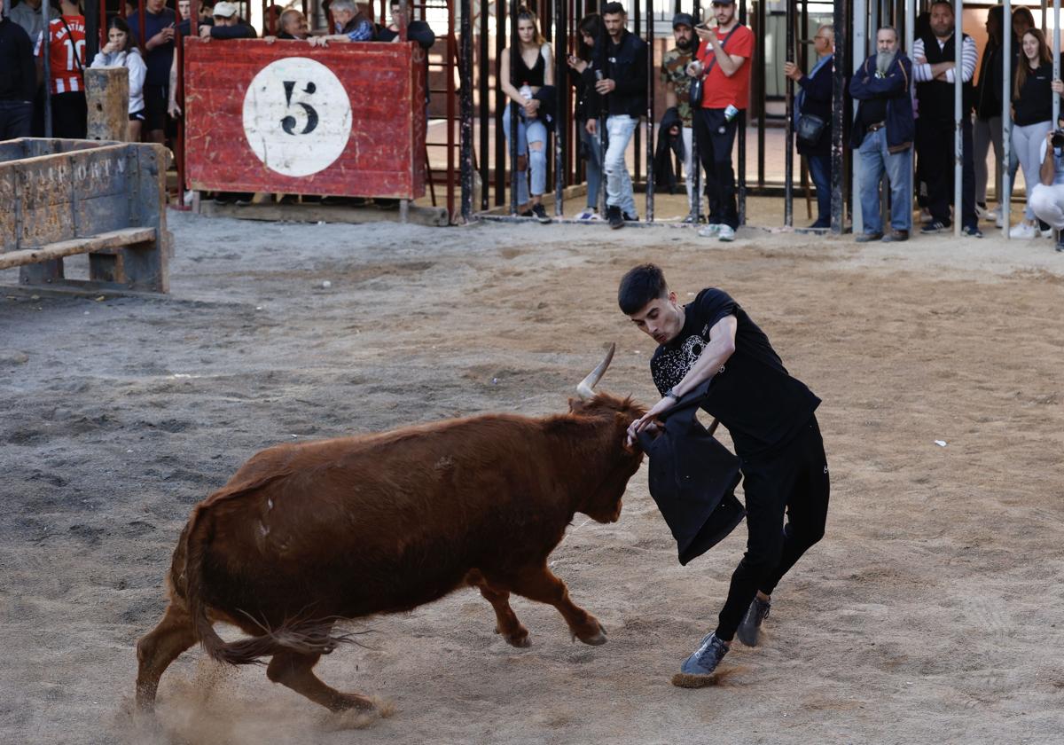 Toros en Cheste