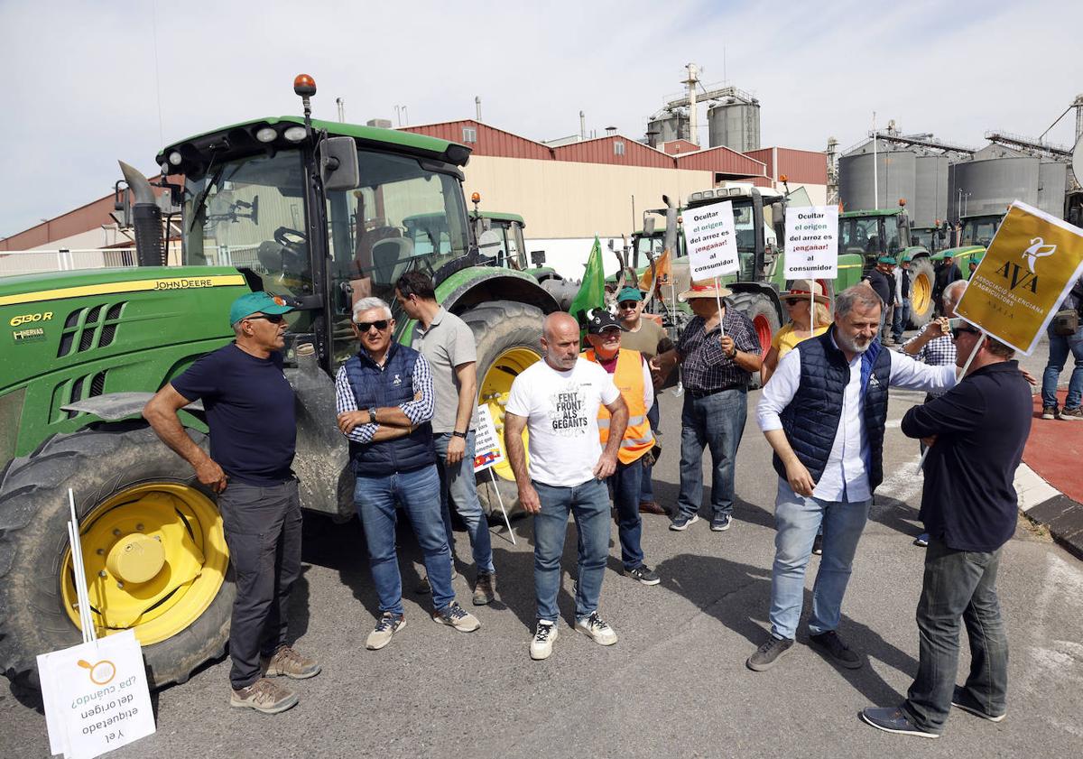 Imagen principal - Los agricultores acusan a grandes empresas de mezclar arroz de Valencia con el importado