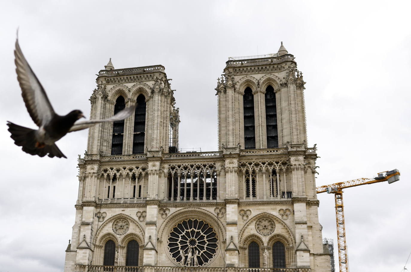 Notre-Dame prepara su reapertura tras el incendio