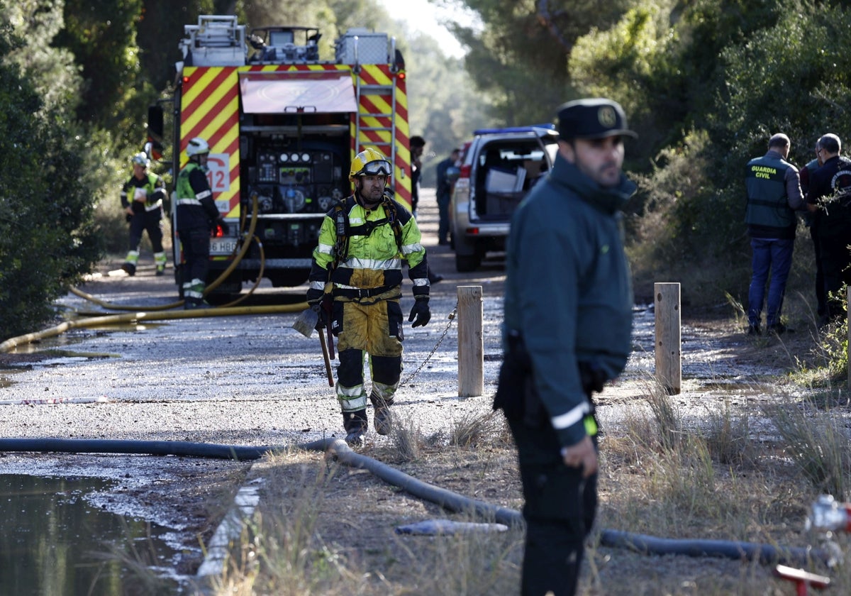 Uno de los incendios provocados en El Saler.