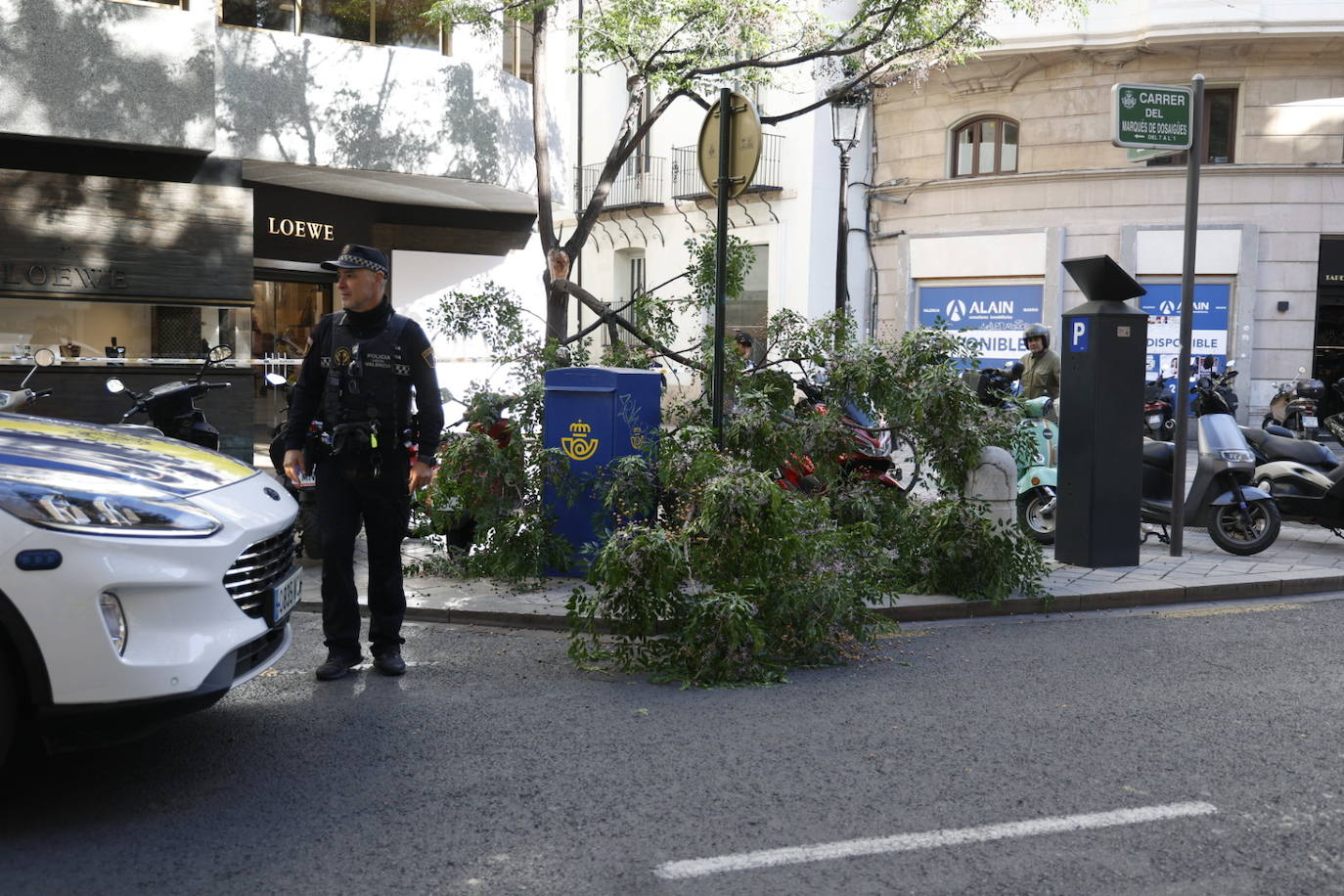 Cae una rama en la calle Poeta Querol de Valencia