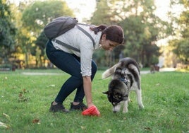 Una mujer recoge los excrementos de su perro en una imagen de archivo.