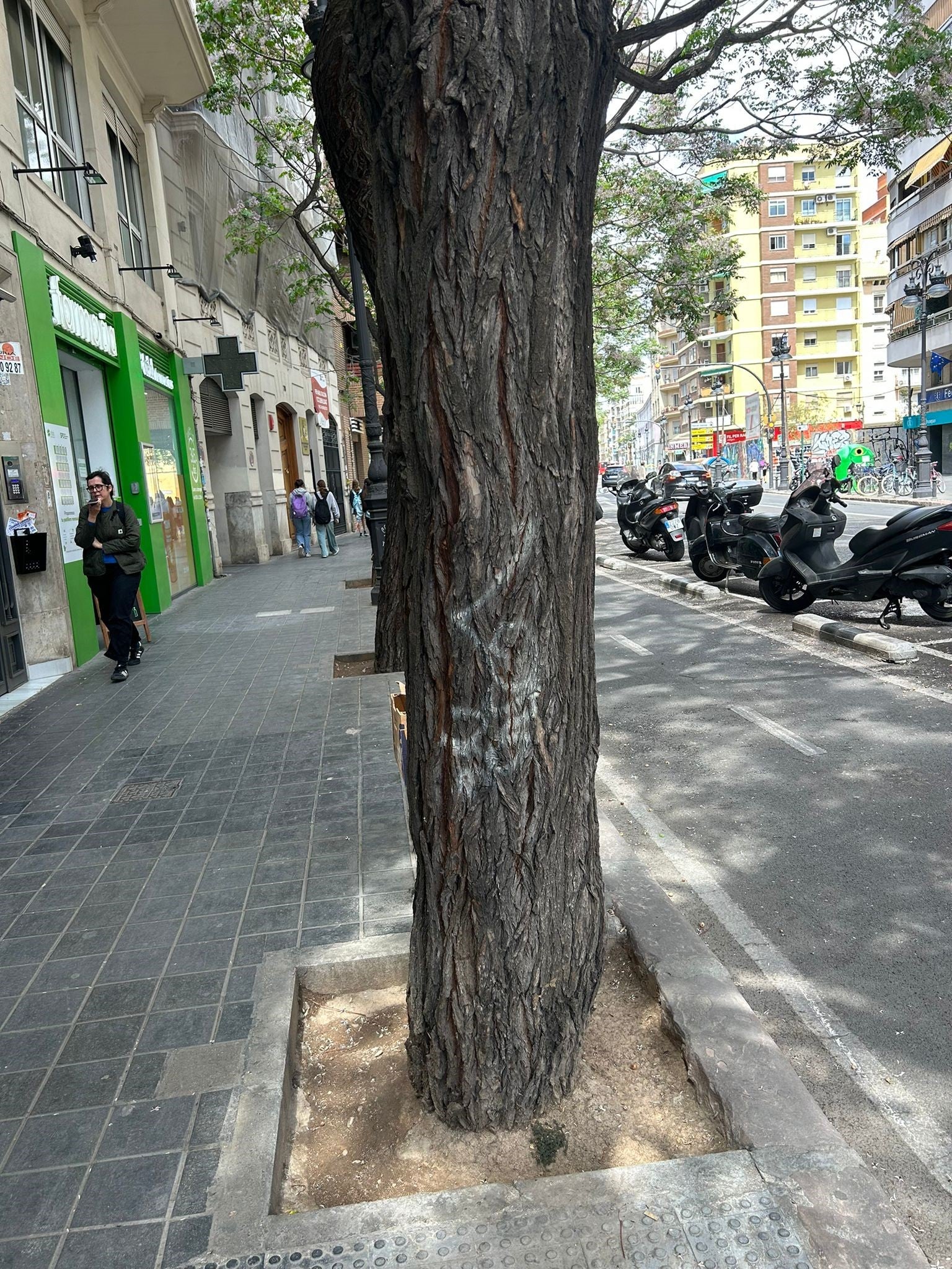 Otra pintada de 'Lord 16' en un árbol de la avenida Guillem de Castro.