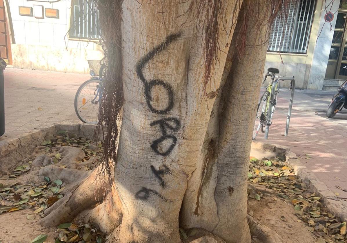 Otro ataque al ficus de la plaza de España de Valencia: el misterio de la pintada de &#039;Lord 16&#039;