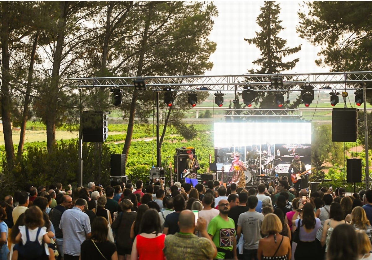 Actuación en el Tierra Bobal Fest