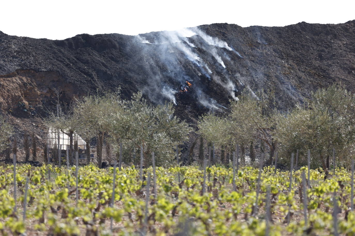 Fotos de Requena, una semana entre el humo