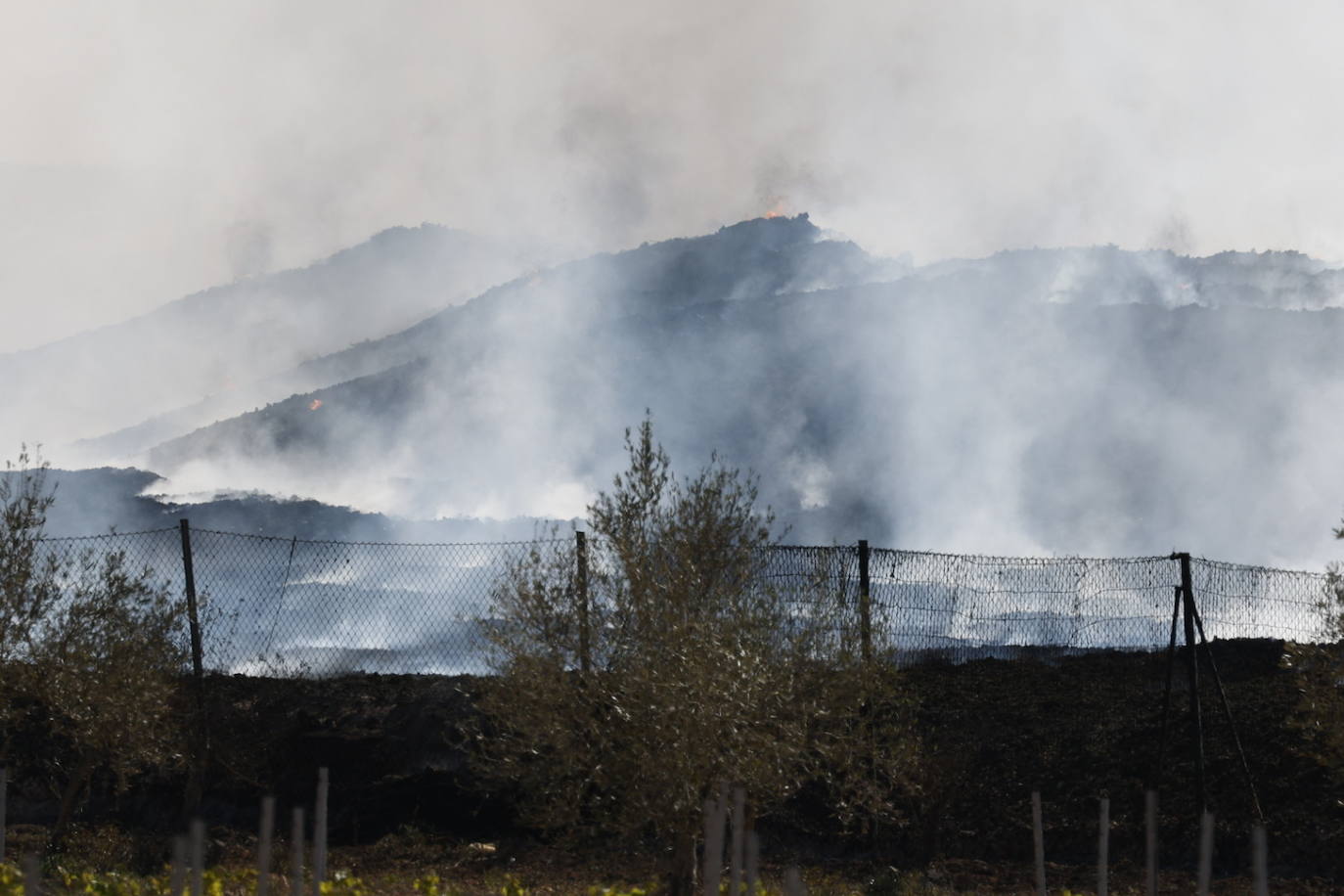 Fotos de Requena, una semana entre el humo