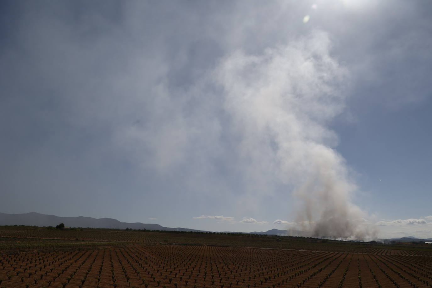 Fotos de Requena, una semana entre el humo