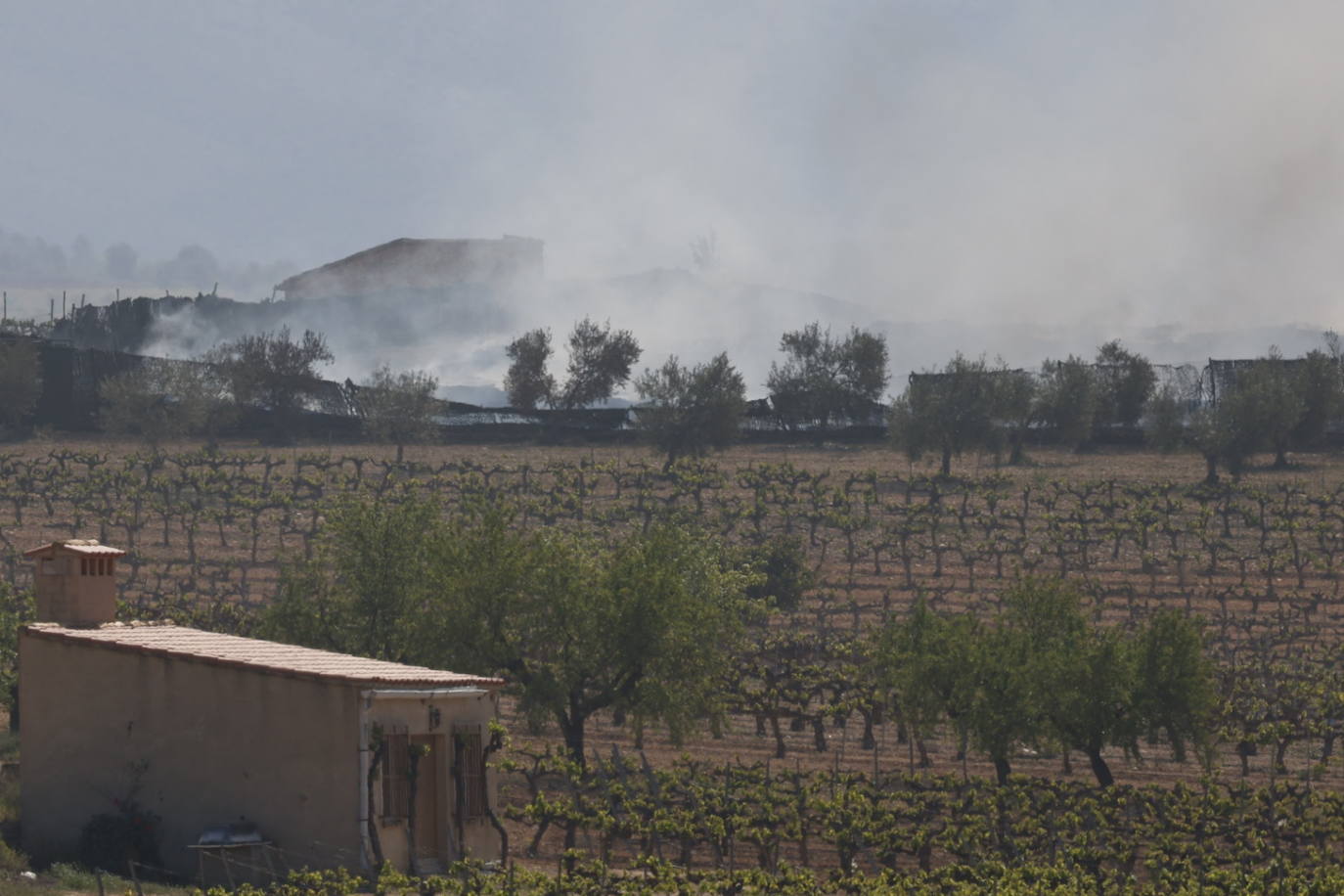 Fotos de Requena, una semana entre el humo