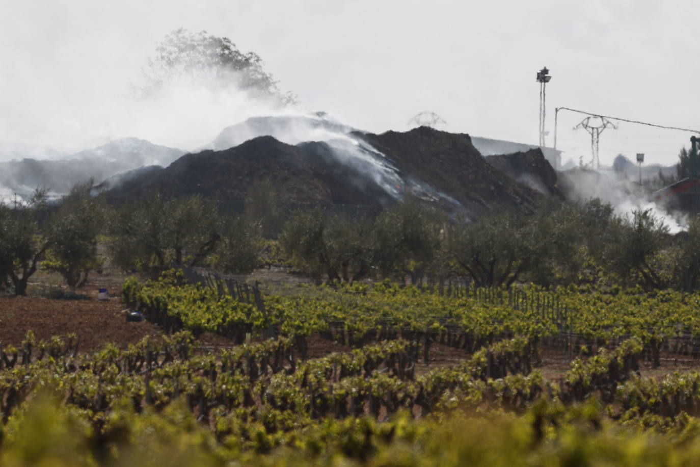 Fotos de Requena, una semana entre el humo