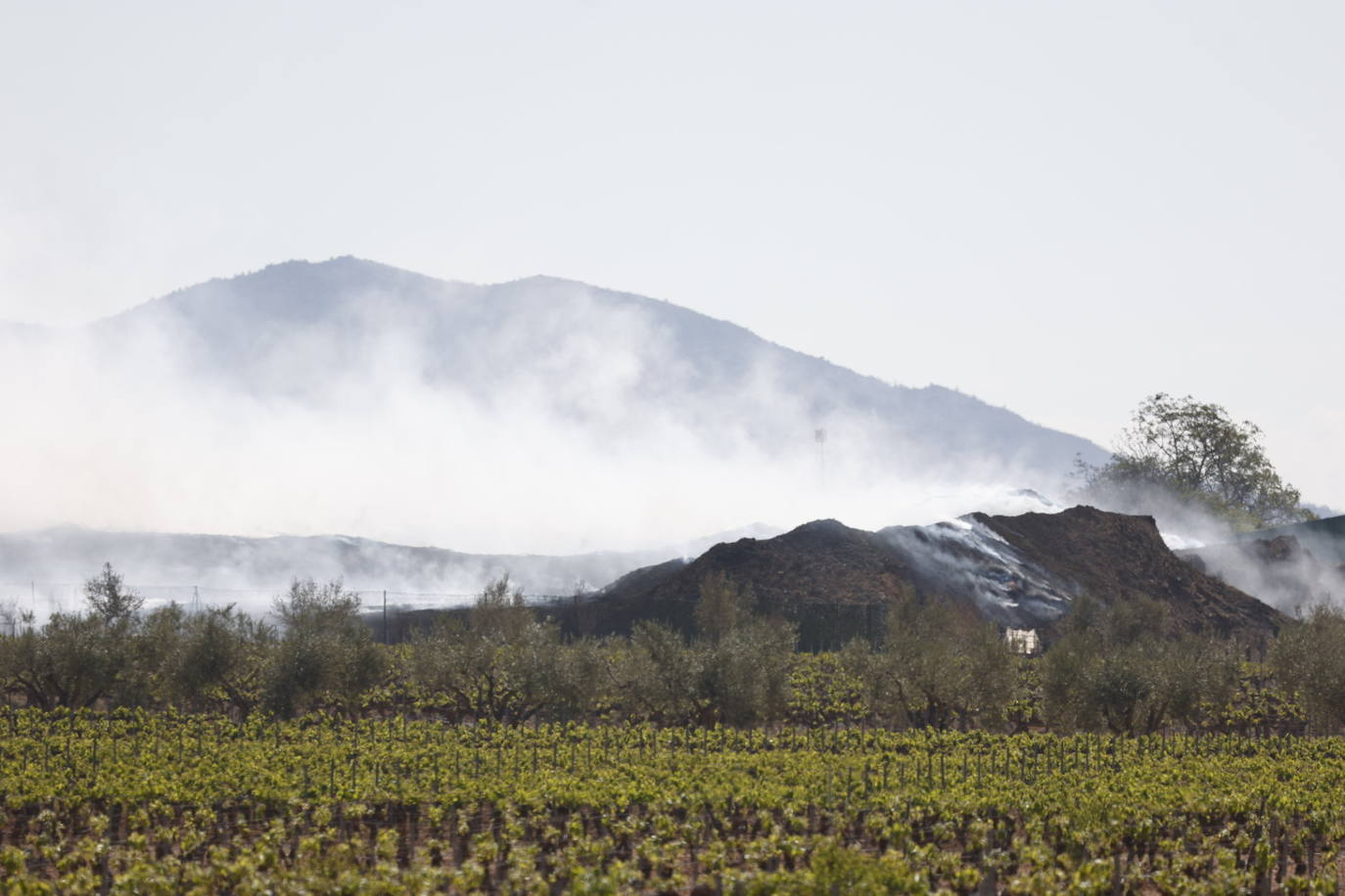 Fotos de Requena, una semana entre el humo