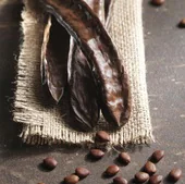 Cocoa replacement foods are rich in fiber and lower cholesterol.