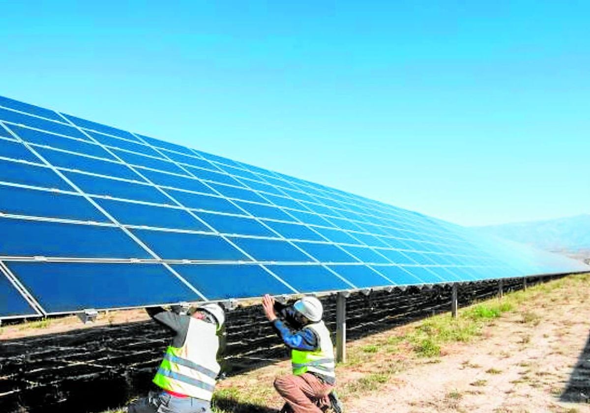 Operarios instalan las placas de un parque fotovoltaico.