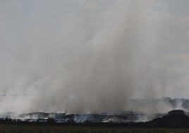 Humareda generada por el incendio en la planta de residuos.