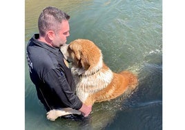 Policía Local rescata a un mastín.