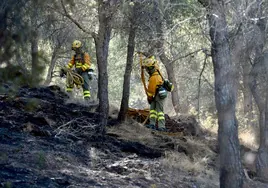 Dos bomberos forestales en el monte.
