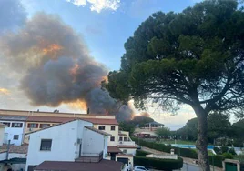 Incendio en Riba-roja de Túria.