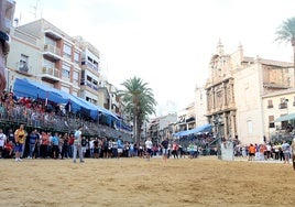 Bous al carrer en Llíria.