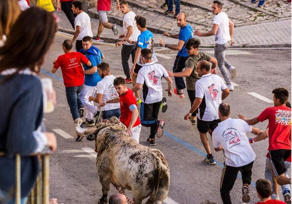 El Bou de les Penyes regresa a Ontinyent