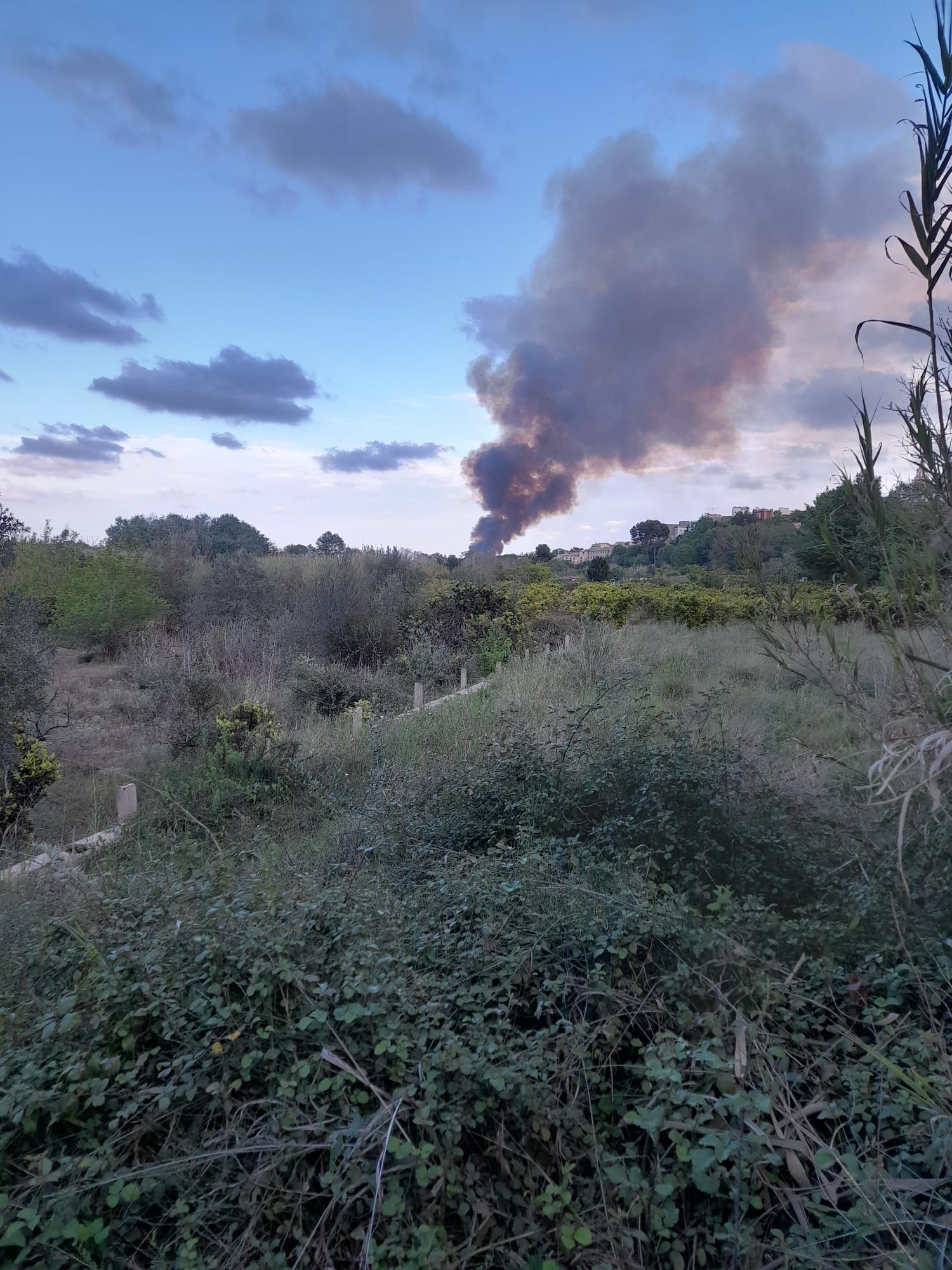 Imágenes del incendio en Riba-roja junto al Turia