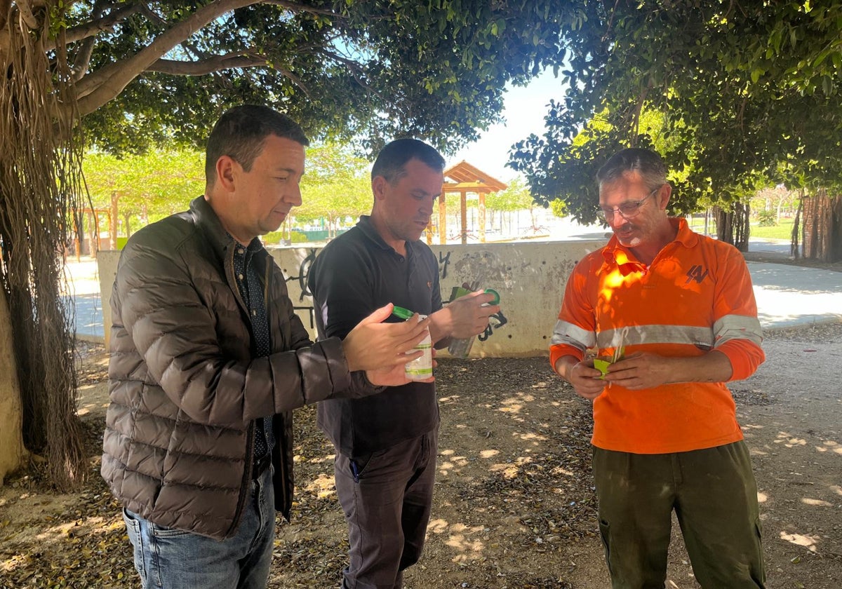 Catarroja combate las plagas en los parques y jardines con lucha biológica