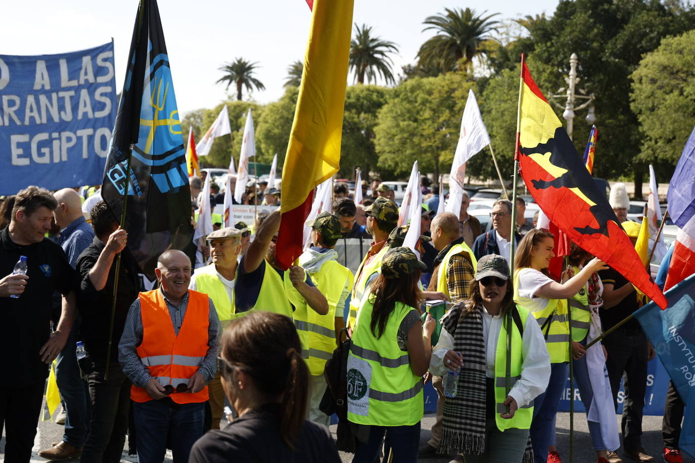 Fotos de la tractorada en Valencia