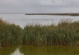 Vista del lago de la Albufera este lunes.