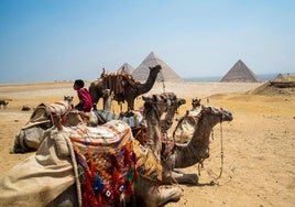 Las pirámides de Giza se preparan para la llegada de turistas