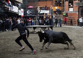 La plaza Almudín volverá a acoger a cientos de personas este fin de semana.