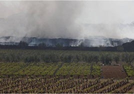 Humo en la planta de reciclaje de Requena.