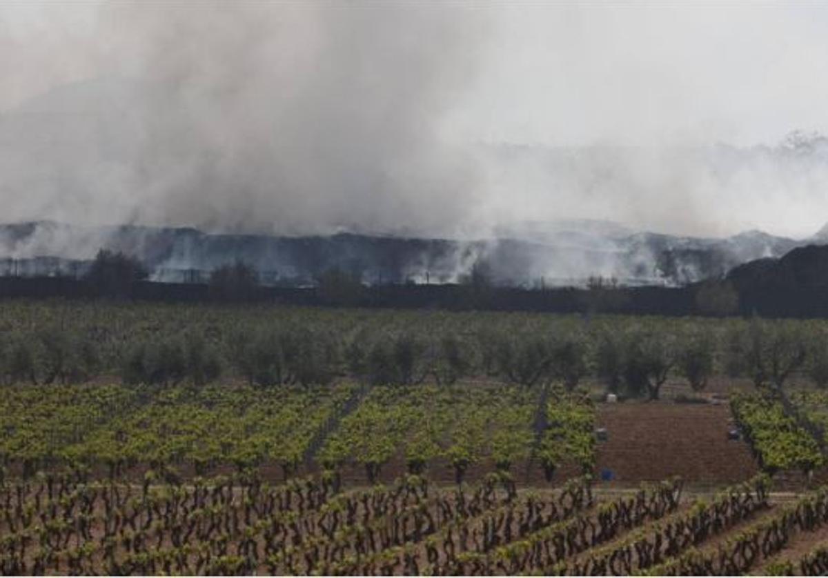 Humo en la planta de reciclaje de Requena.