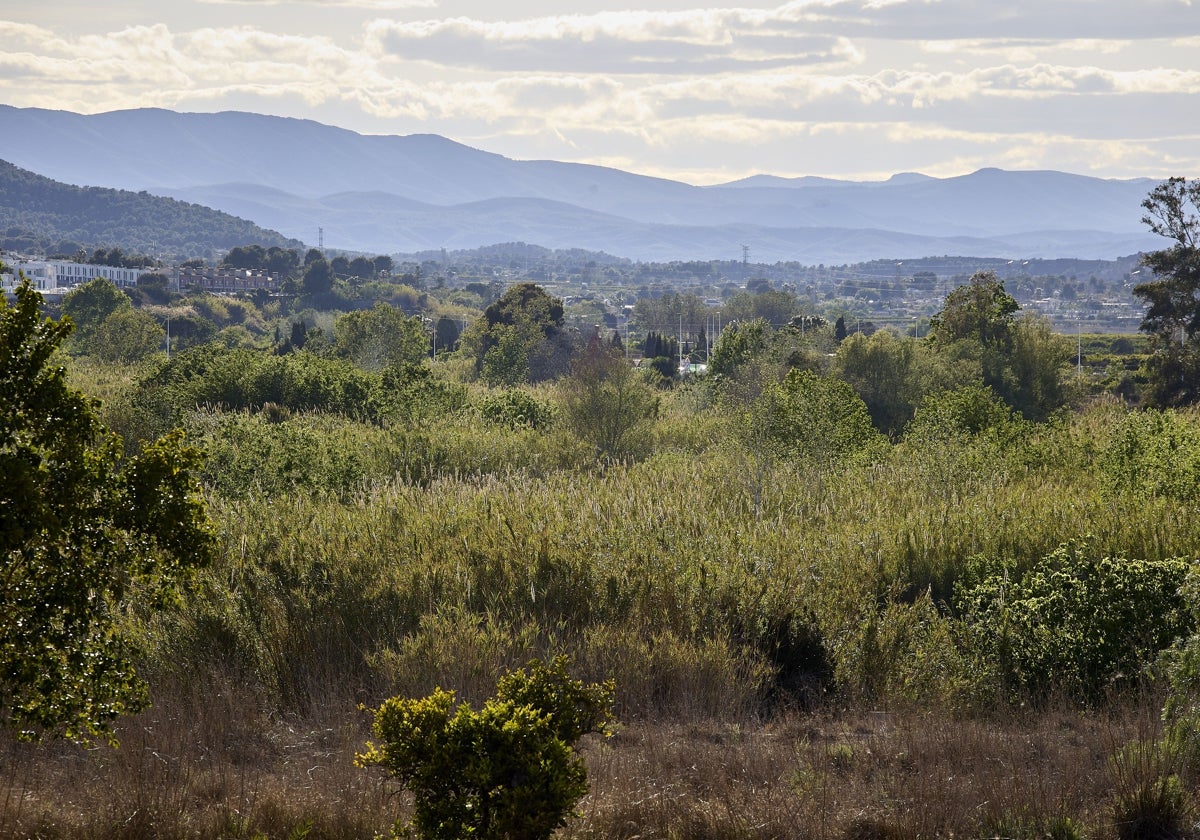 La frondosidad de la cañada es lo que más preocupa a los municipios vinculados al parque natural.