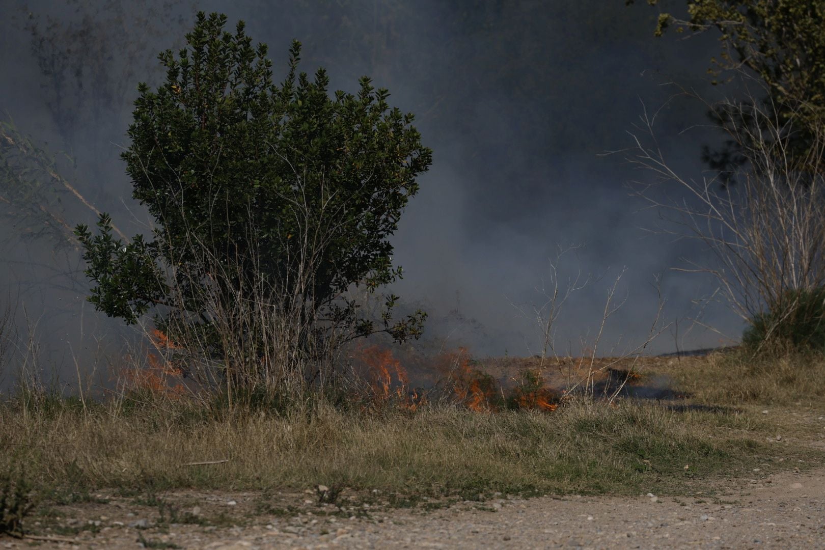 Un incendio amenaza la urbanización Masía de Traver en Riba-roja